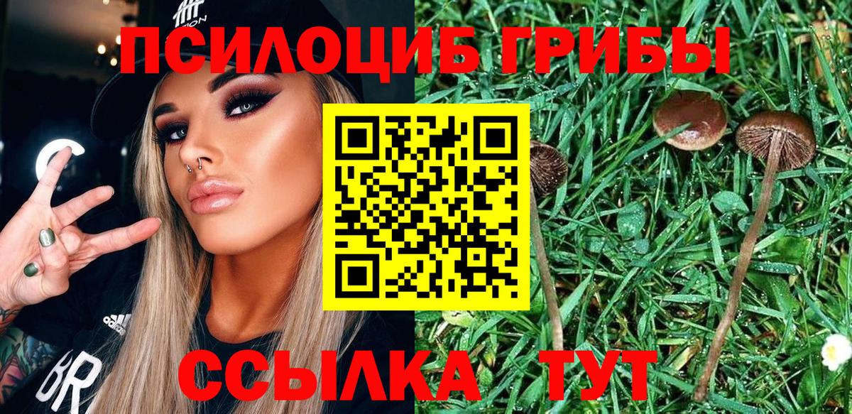 Псилоцибиновые грибы Cubensis  Вход с VPN  купить  сайты  Миасс 